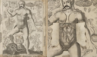 Illustration for article titled Columbia Just Digitized a Bestselling Anatomy Flipbook From the 1610s
